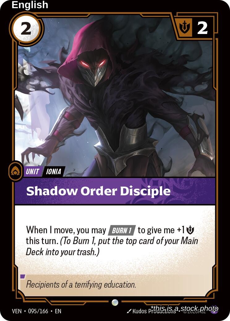 Shadow Order Disciple
