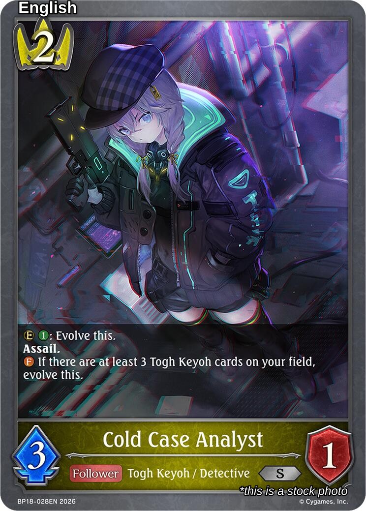 Cold Case Analyst