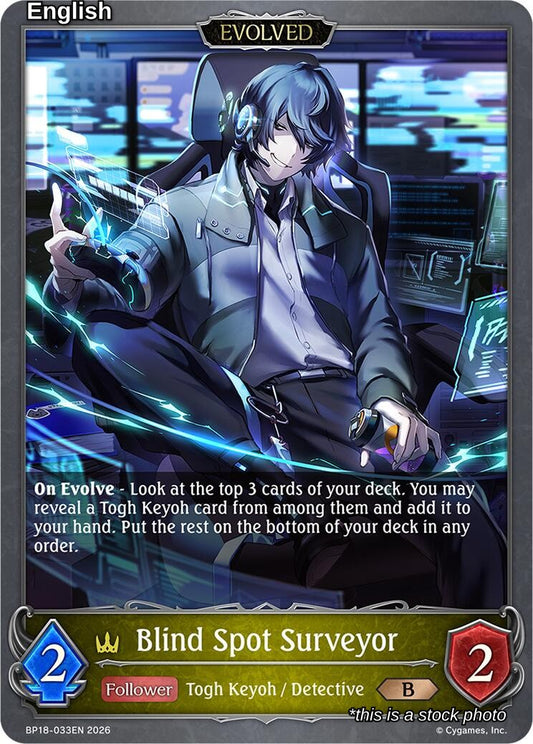 Blind Spot Surveyor (Evolved)