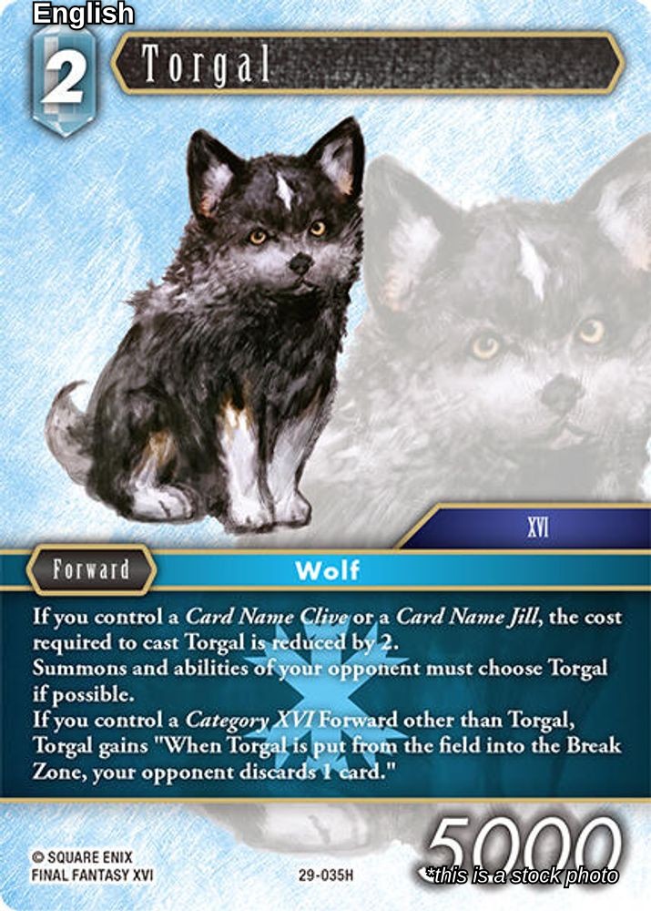Torgal