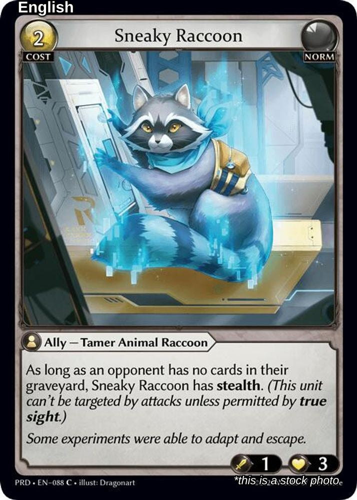 Sneaky Raccoon