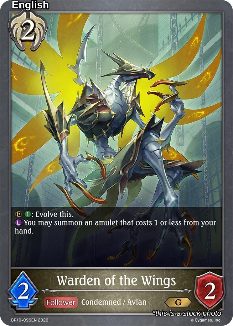 Warden of the Wings