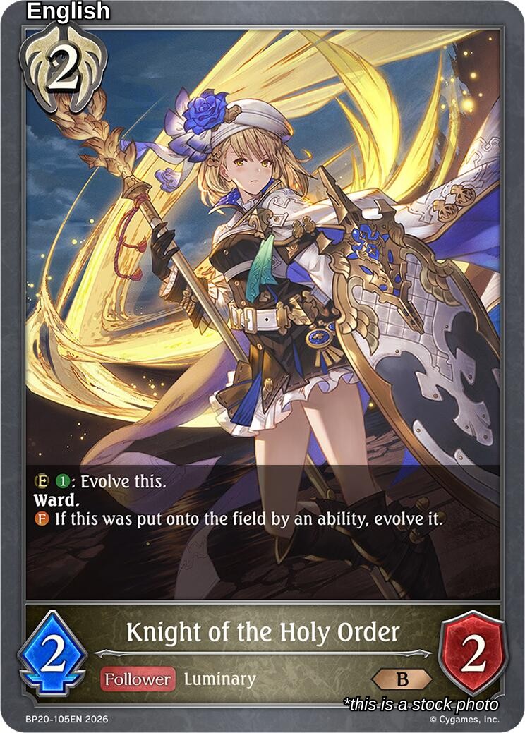 Knight of the Holy Order