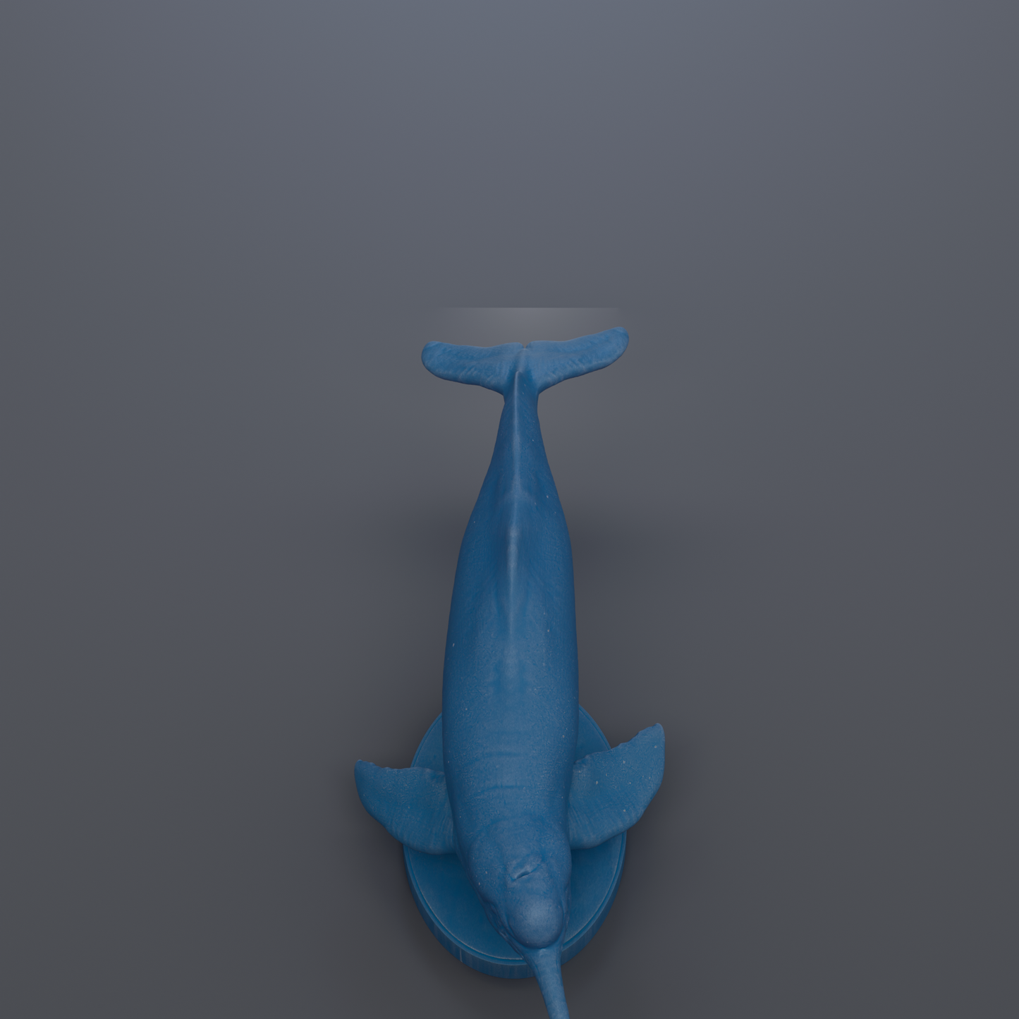 A blue plastic toy whale is shown against a gray background.