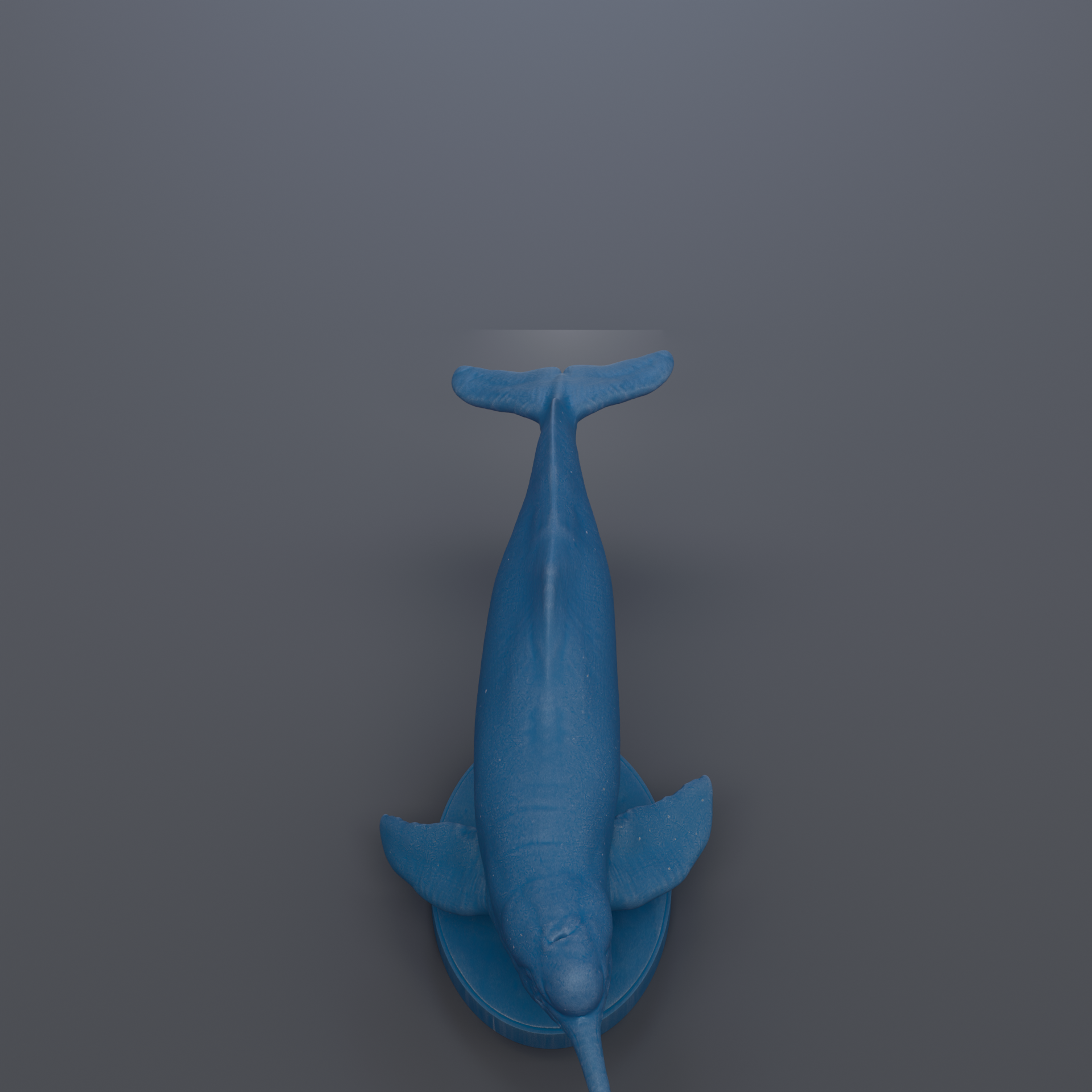 A blue plastic toy whale is shown against a gray background.
