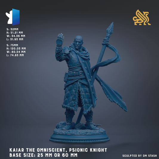 a statue of a man in a blue outfit, holding a spear and standing on a base. The statue is of a PSIONIC KNIGHT character, and the base size is either 25 mm or 60 mm. The image is a sculpture by DM Stash.
