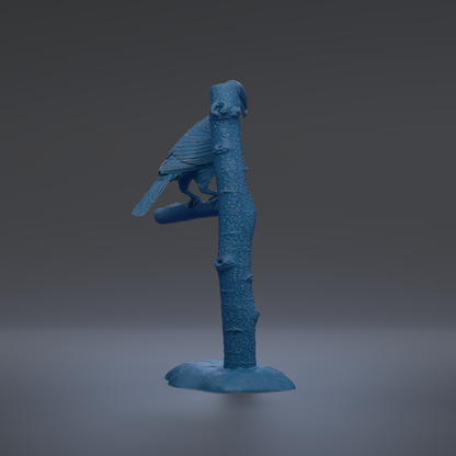 A blue bird perched on a tree branch against a dark background.