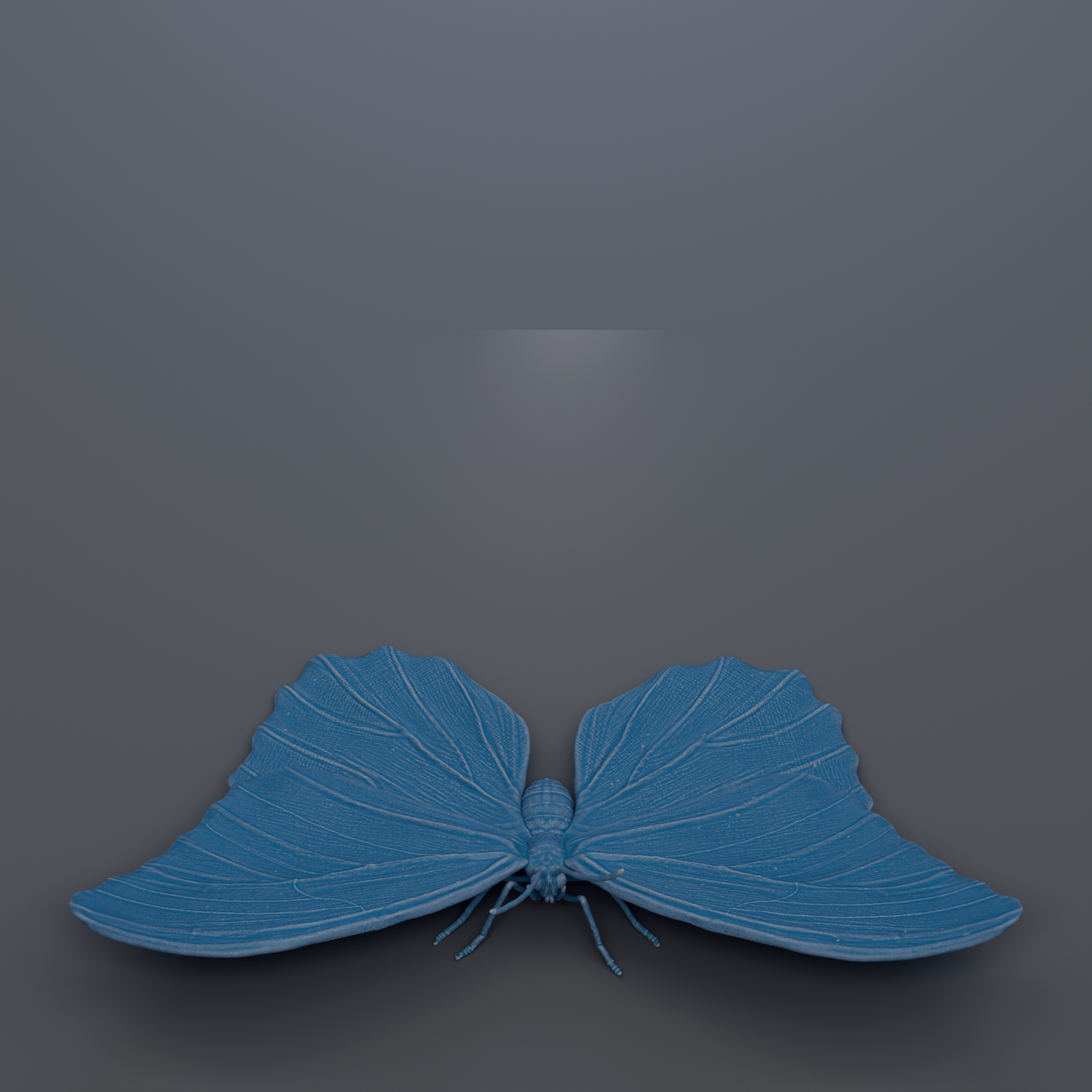 A blue butterfly with its wings spread out, resting on a dark background.