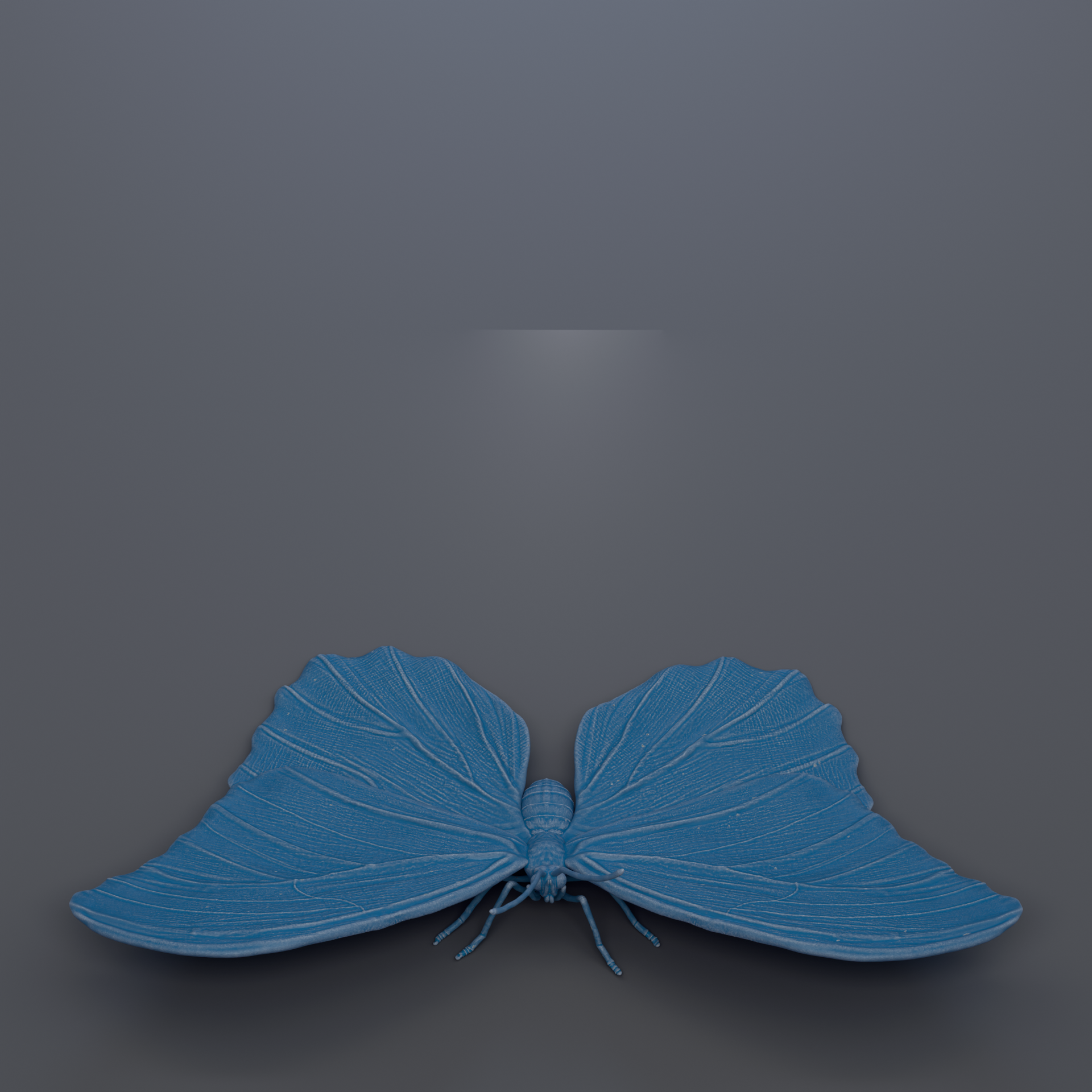 A blue butterfly with its wings spread out, resting on a dark background.