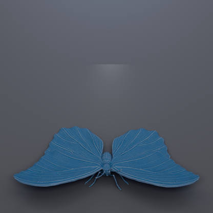 A blue butterfly with its wings spread out, resting on a dark background.