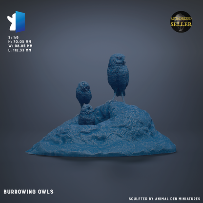 a group of three burrowing owls standing on a rocky surface.