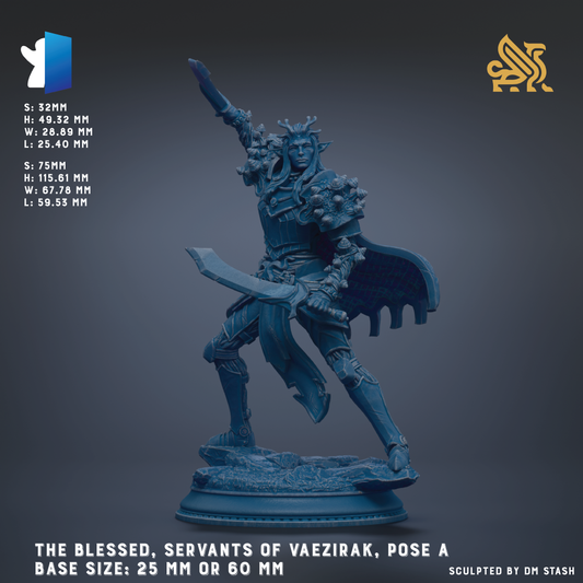 a blue statue of a warrior figure, with the text "The Blessed, Servants of VAEIZIRAK, Pose a Base Size: 25 mm or 60 mm" indicating the size of the statue.