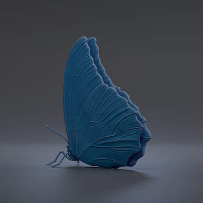 A 3D rendering of a blue butterfly with its wings spread, set against a dark background.
