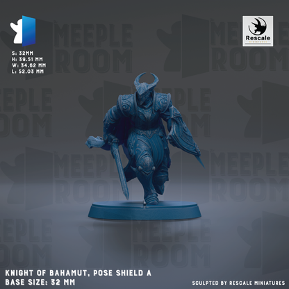 a knight of Bahamut, a pose shield, with the base size of 32mm.