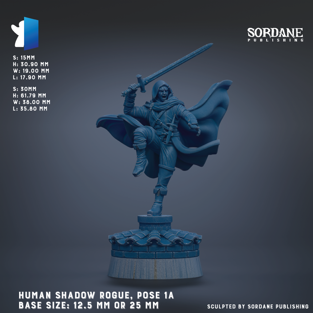a statue of a human figure in a dynamic pose, holding a sword and wearing a cape. The statue is set against a dark background, and the image is described as a "Human Shadow Rogue, Pose 1" with a base size of 12.5 mm or 25 mm.