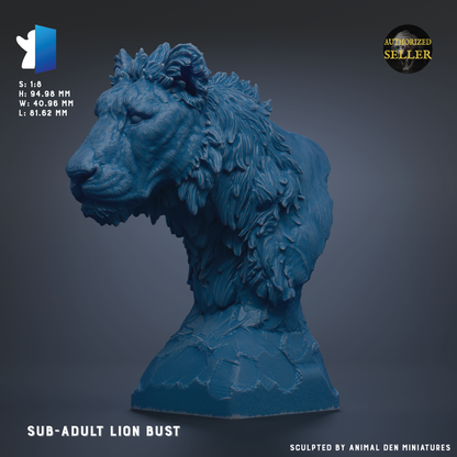 The image is a 3D model of a lion bust, specifically a sub-adult lion bust.
