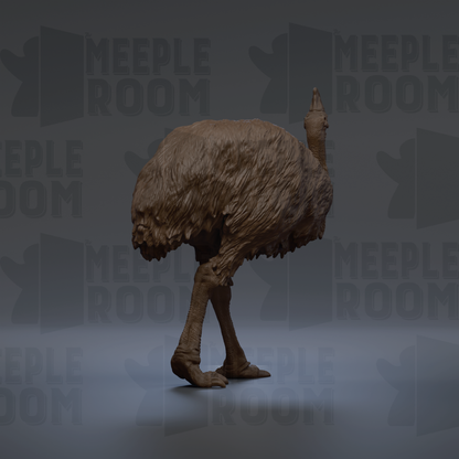 an ostrich with a large, fluffy head and long legs, standing on one leg in a dark background.