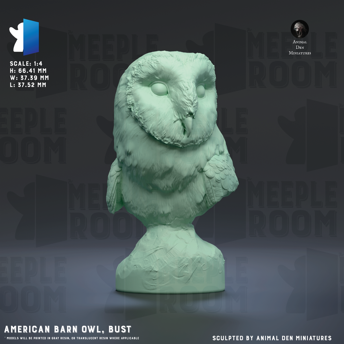 AmericanBarnOwl-Bust_Hero.png