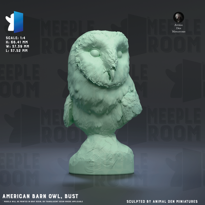 AmericanBarnOwl-Bust_Hero.png