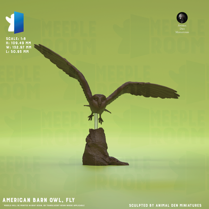 AmericanBarnOwl_PoseFly_Hero.png