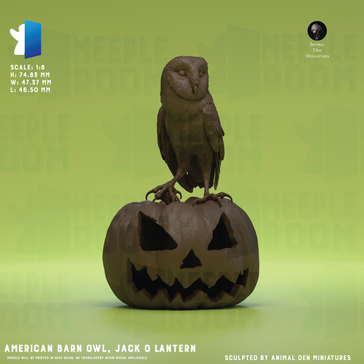AmericanBarnOwl_PoseJackOLantern_Hero.png