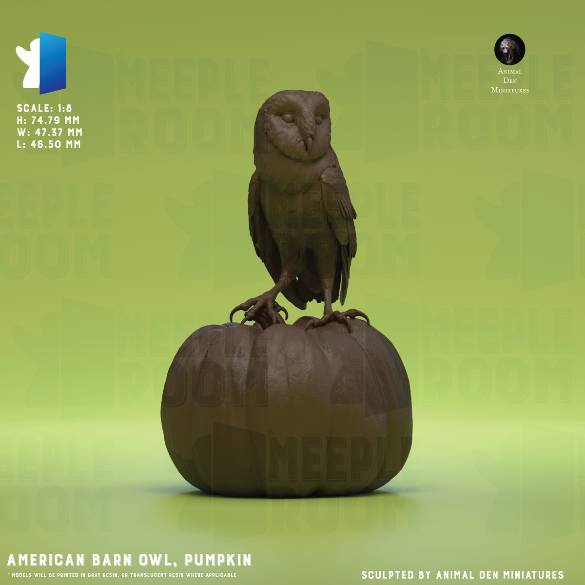AmericanBarnOwl_PosePumpkin_Hero.png