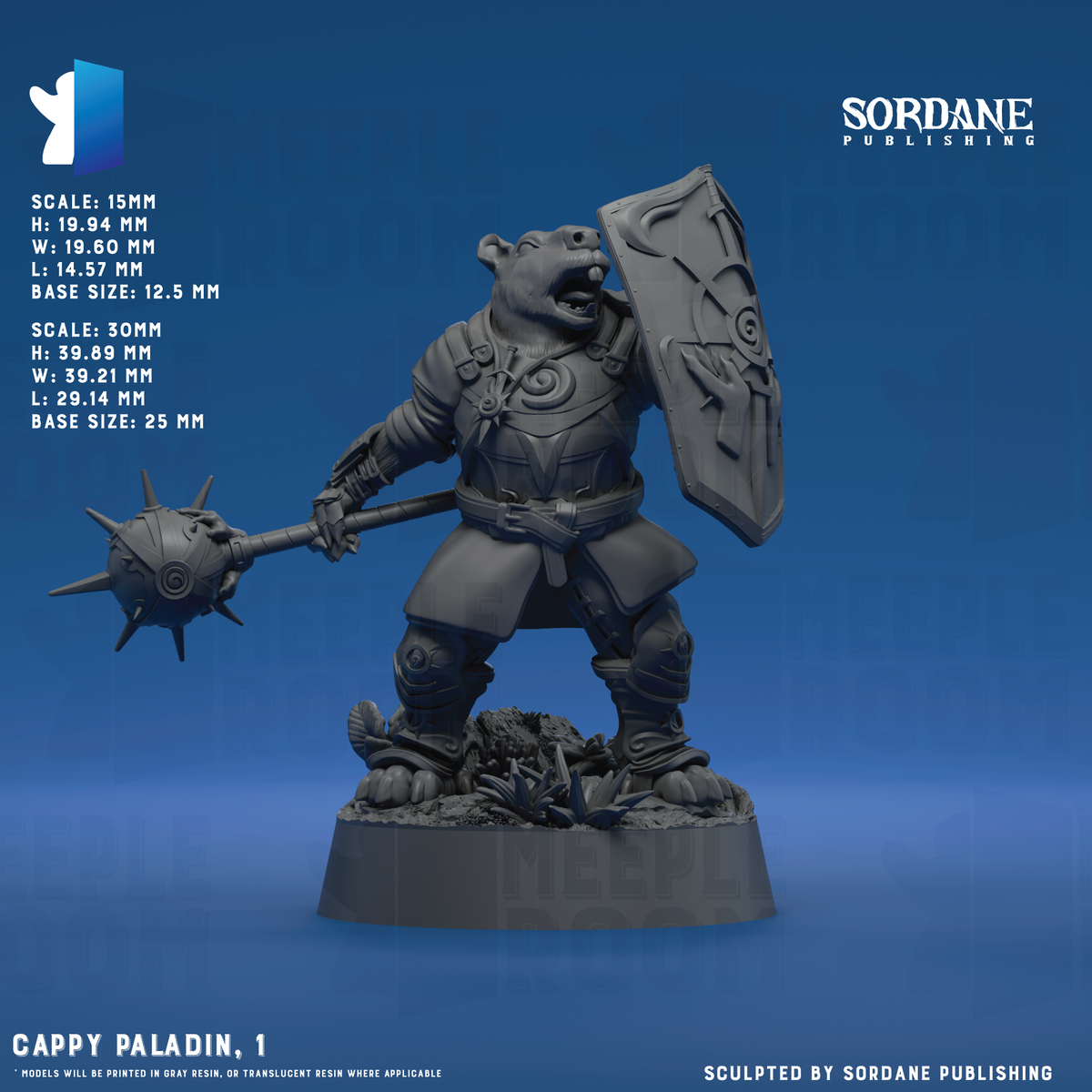 CappyPaladin_Pose1_12.5base_Hero.png