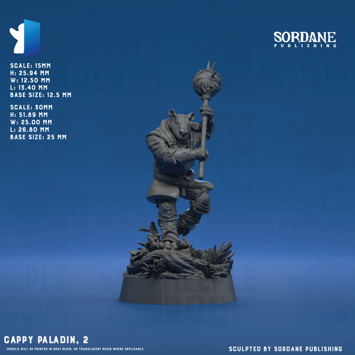 CappyPaladin_Pose2_12.5base_Hero.png