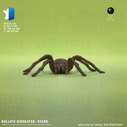 GoliathBirdeater_PoseStand_Hero.png