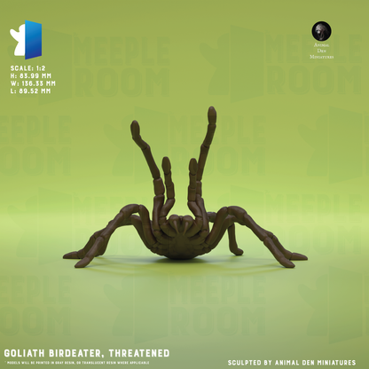 GoliathBirdeater_PoseThreatened_Hero.png
