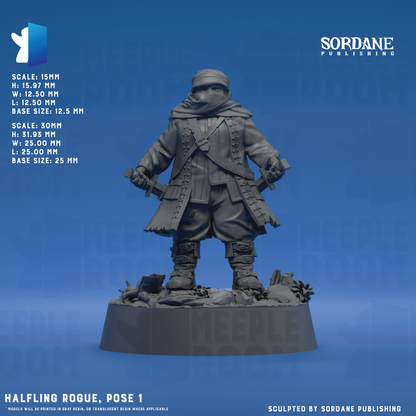 HalflingRogue_Pose1_12.5base_Hero.png