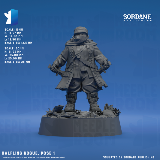 HalflingRogue_Pose1_12.5base_Hero.png