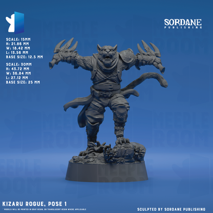 KizaruRogue_Pose1_12.5base_Hero.png