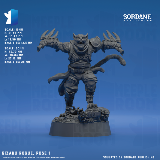 KizaruRogue_Pose1_12.5base_Hero.png