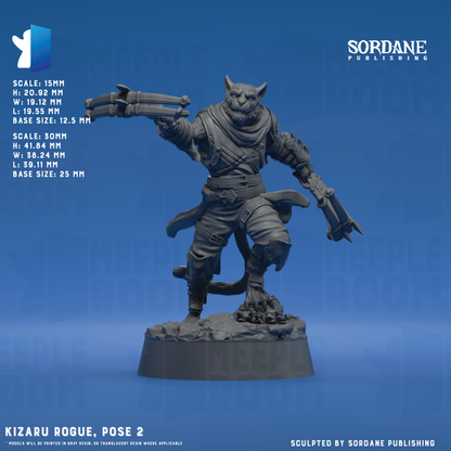 KizaruRogue_Pose2_12.5base_Hero.png