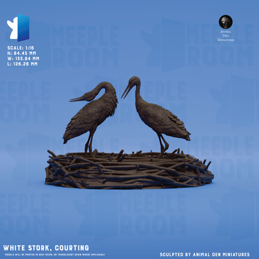 WhiteStork-Courting_Hero.png