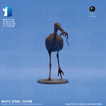 WhiteStork-Eating_Hero.png