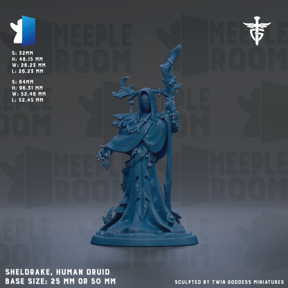 a blue human Druid figurine with a pointed hat and a staff, standing on a base. The figurine is described as a base size of 25mm or 50mm. The image is a part of a larger collection of images, and it is not a single image but a collage of multiple images.