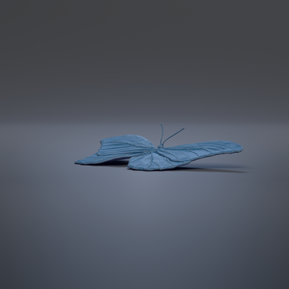 A blue butterfly with its wings spread out, resting on a plain gray background.