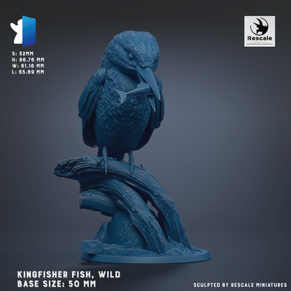 A 3D model of a Kingfisher Fish, a wild bird, is depicted in a blue color. The bird is perched on a branch, and the image is labeled with the dimensions and base size of the sculpture.