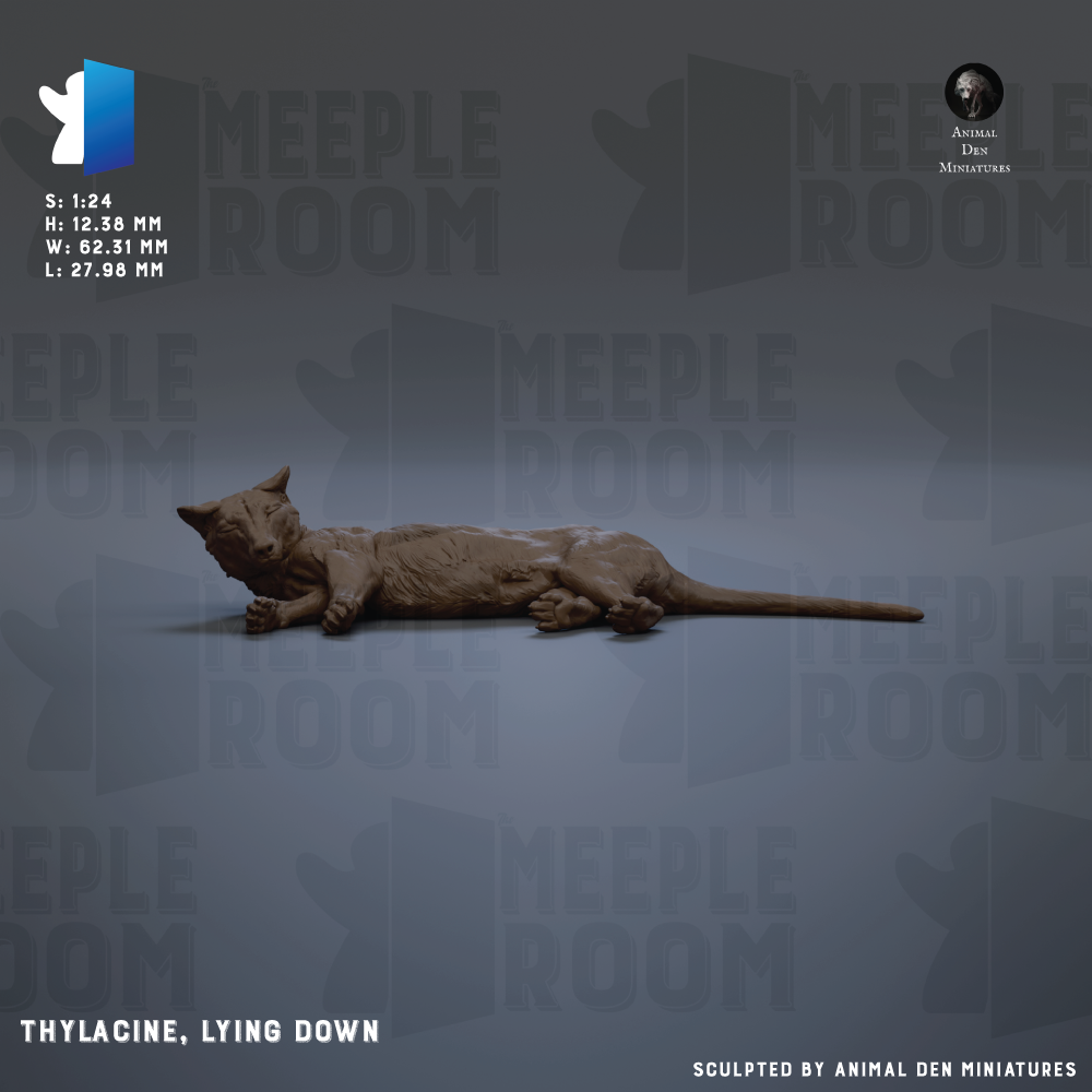a brown cat lying down on a gray background.