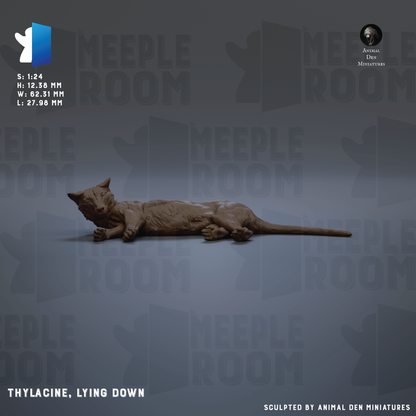 a brown cat lying down on a gray background.