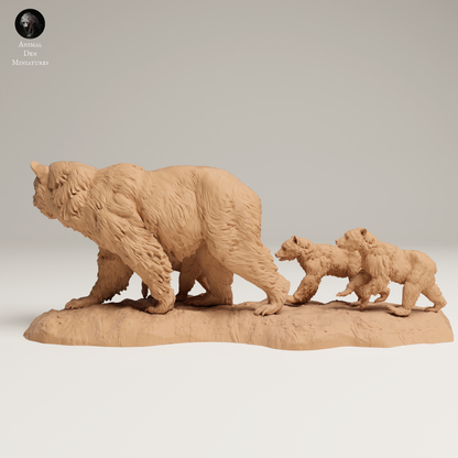 a mother bear and her two cubs on a rock
