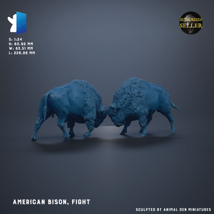 two blue American bison engaged in a fight, with their heads lowered and horns bared.