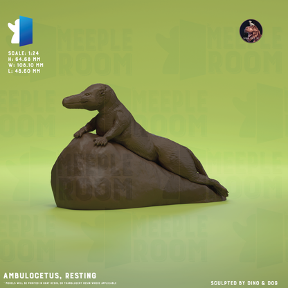 Ambulocetus by Dino & Dog | Miniature | TTRPG | Unpainted | Print on Demand