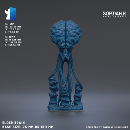 a blue, organic-looking brain-shaped object, possibly a sculpture or figurine, with a text overlay providing information about its dimensions and origin.