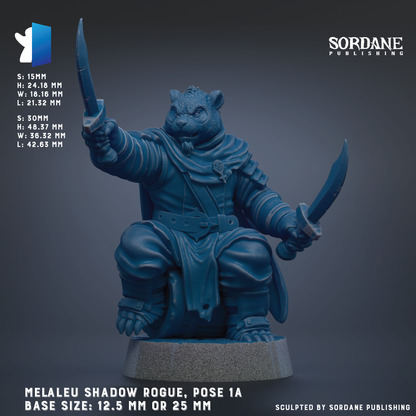 a figurine of a character with a sword, wearing a cape and a cape-like garment. The figurine is sitting on a pedestal and is the main focus of the image. The figurine is described as a "Malleu Shadow Rogue" and is shown in a pose with one arm raised and the other holding a sword. The figurine is described as being "12.5 mm" or "25 mm" in size, depending on the perspective. The image is published by Sordane Publishing.