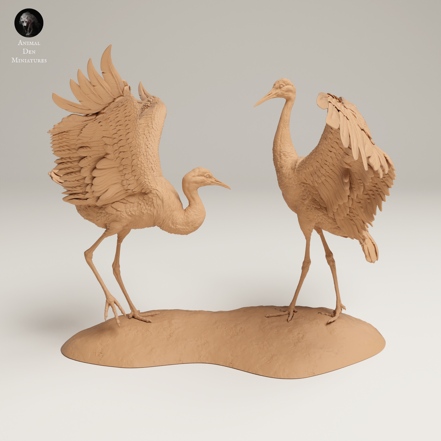 a couple of birds standing on top of a sandy beach