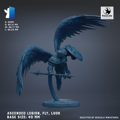 a winged warrior figure with a shield and sword, standing on a base of 40 mm.
