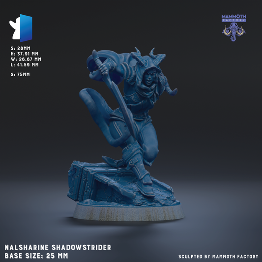 A blue figurine of a shadowy rider, likely a Nalsharine Shadowstrider, is depicted in a dynamic pose, with a sword in hand. The base size of the figurine is 25mm.